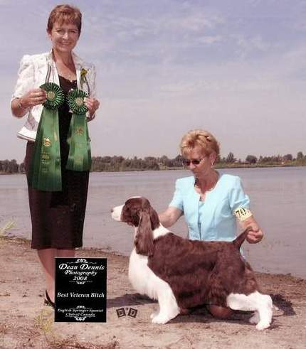 Diane Herns with her English Springer Spaniel champions